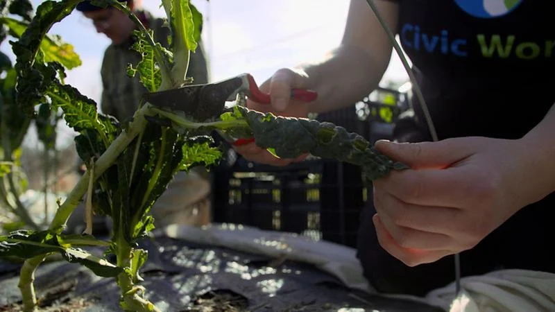 Colorado politicians applaud judicial pause to AmeriCorps cuts