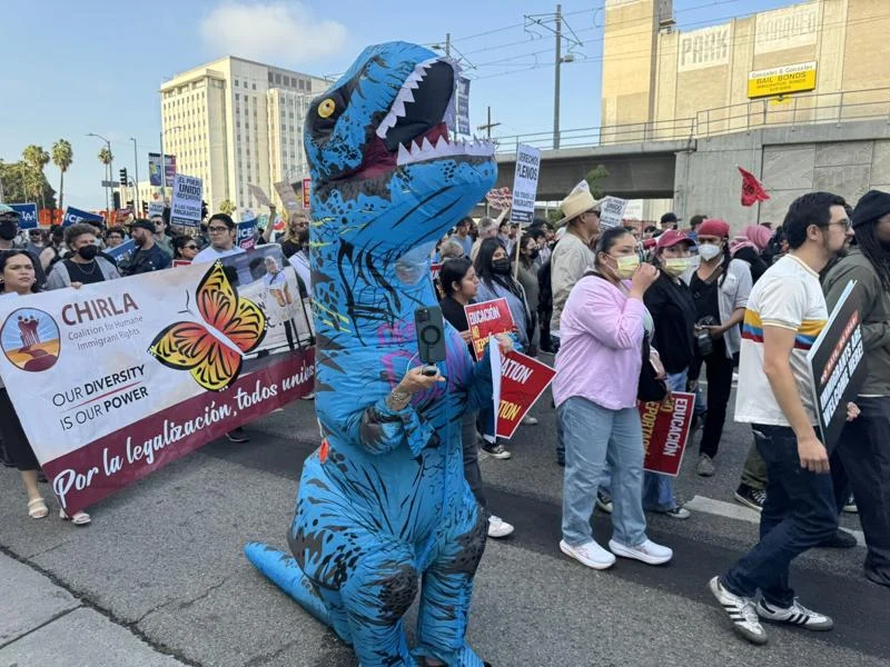 California provided $73.6M to anti-deportation groups, including protestors