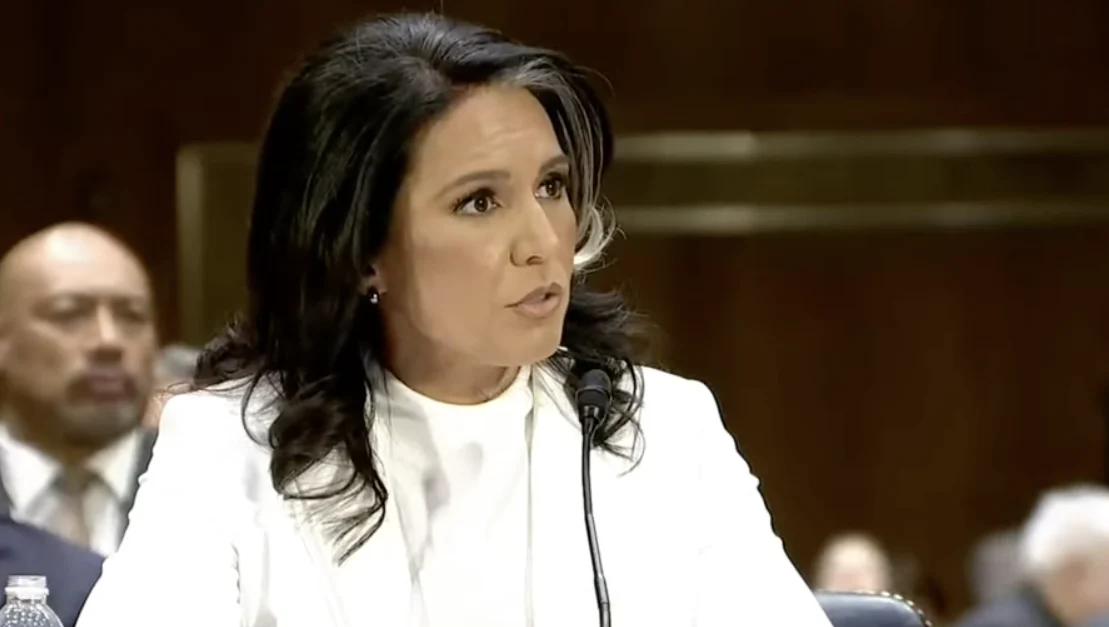 Gabbard: Obama conspired to ‘usurp’ Trump’s 2016 election mandate