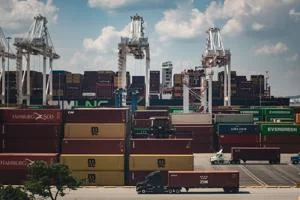 Businesses brace for new tax challenges amid global tariff focus